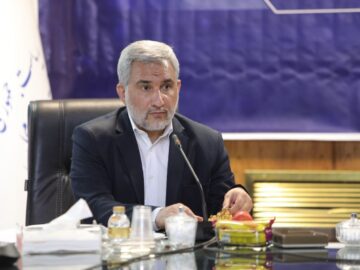 اسماعیلی: رویکرد لایحه محوری در دولت چهاردهم افزایش پیدا کرده است