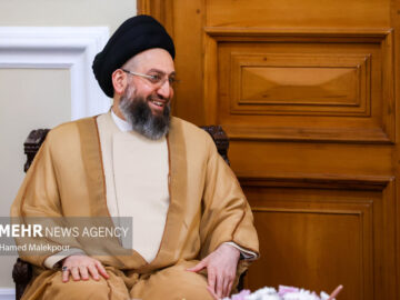 سید عمار حکیم با آیت‌الله نوری همدانی دیدار و گفتگو کرد