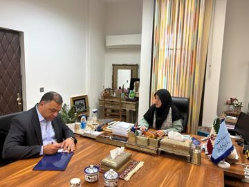 کرمان آماده گسترش همکاری‌های ملی در حوزه صنایع‌دستی است