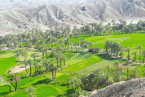 قصرقند؛ بهشت طعم‌های دل‌چسب سیستان و بلوچستان با ظرفیت گردشگری