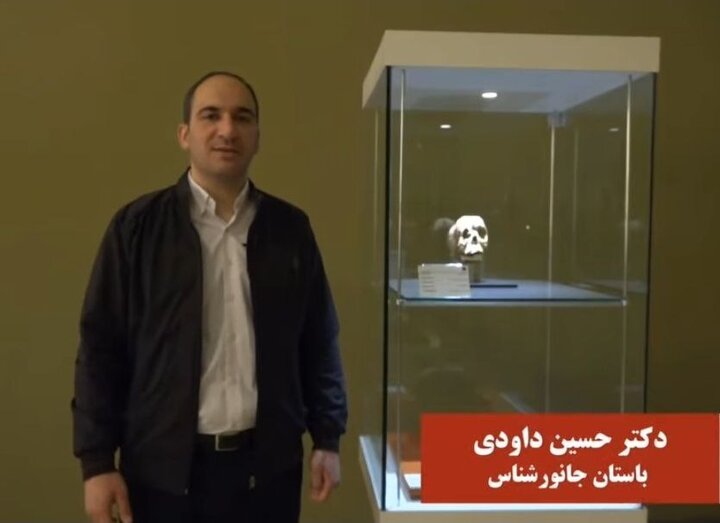 علت تغییر شکل عمدی جمجمه در عصر نوسنگی چه بود؟