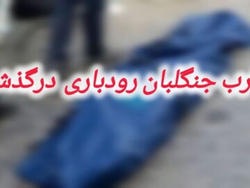 ضارب جنگلبان رودباری بر اثر برق‌گرفتگی جان باخت
