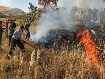 شعله ها، مراتع دلفارد جیرفت را خاکستر می کنند؛ نبود ایستگاه آتش نشانی
