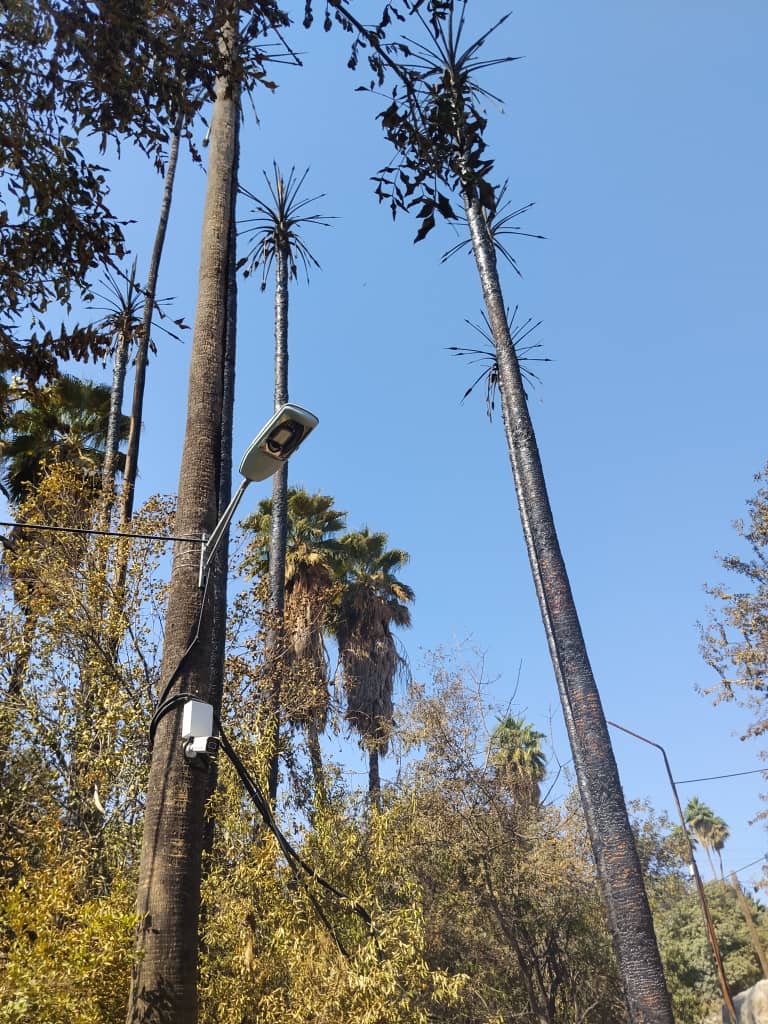 حمزه‌بازی جزئیات آتش‌سوزی محدود باغ تاریخی چشمه بلقیس را تشریح کرد+فیلم